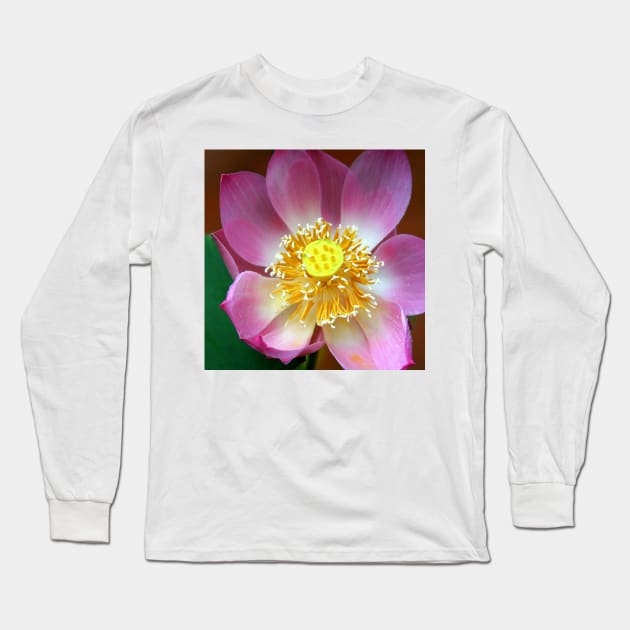 Large Water Lily (Lotus) Flower, Thailand Long Sleeve T-Shirt by Carole-Anne